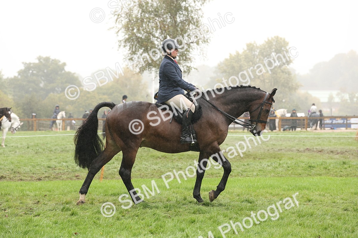 SBM_72883 - Ridden Horse Supreme Championship