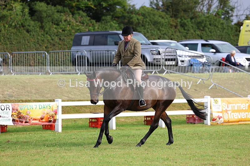 3E7A8050 - Class 2: Rising Star Large Hack/Riding Horse