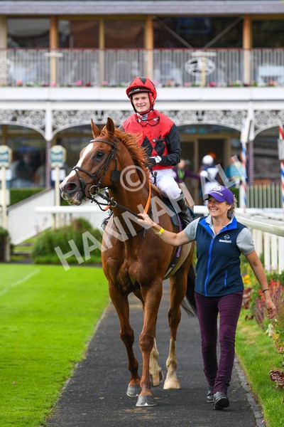 150723-Race 7-Roundhay Park-0767 - Race 7 5.30 pm John Smith's Sprint Handicap