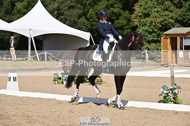 250810A-152908-08057 - Intermediate I GOLD Presentations