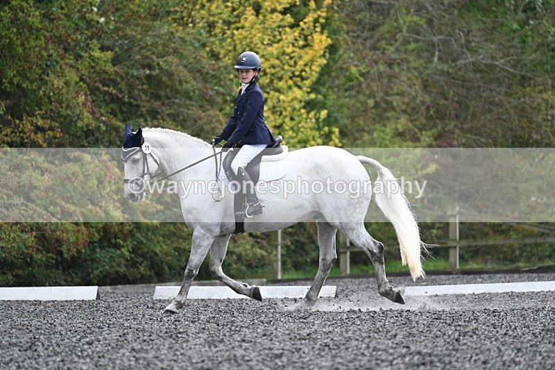 WJ7_6017 - Time 14:10 to 14:45