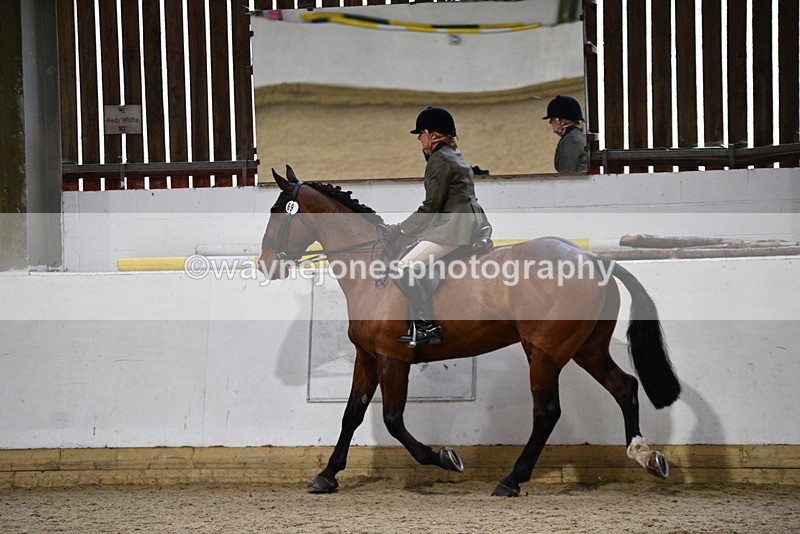 WJ5_9003 - Class 15 Ridden Show Horse