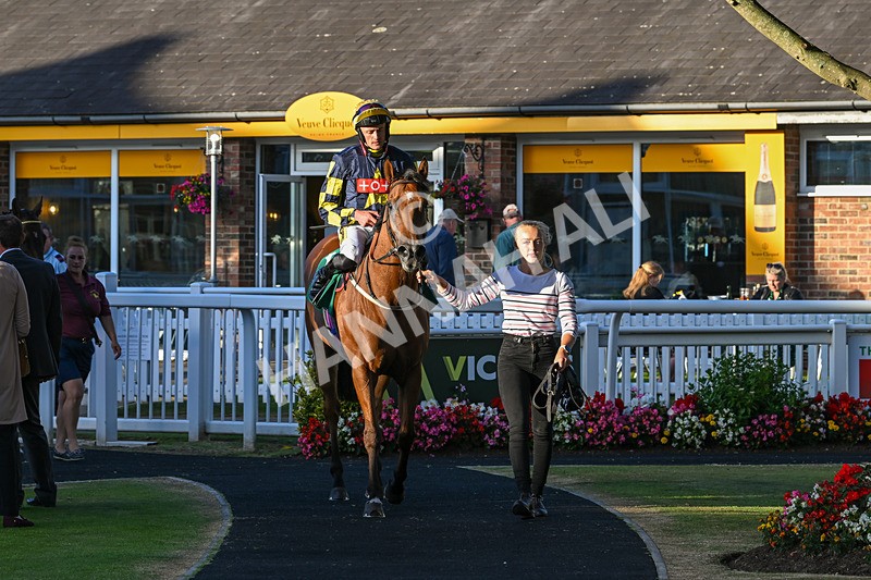 160824-Race 5-Ready Freddie Go-9610 - Race 5