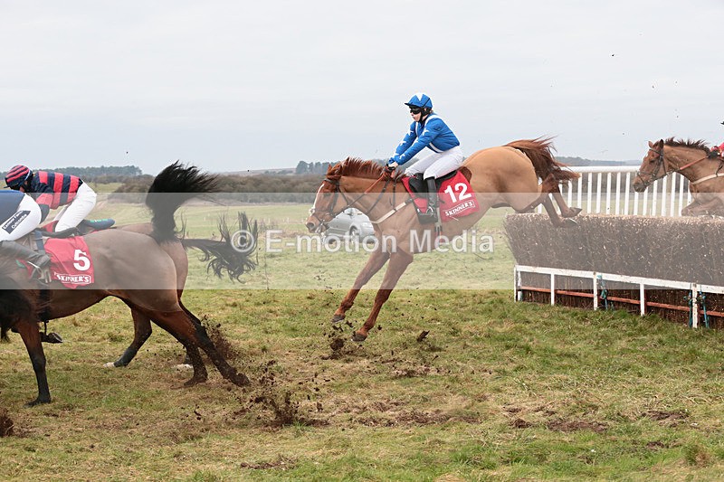 PtP 060119 119 - Larkhill Racing Club - Point-to-Point- 06/01/2019
