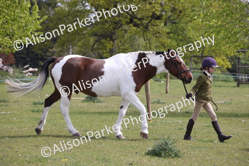 20260426-3278 - Class 27 - Coloured Horses and Ponies