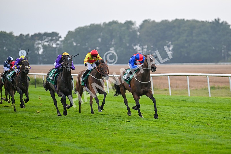 070924-Race 8-Desert Falcon-8065 - Race 8