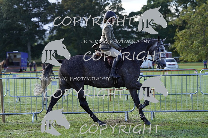 _DSC9408 - Class 8 & 17 Ridden Hunter & Ridden Hunter Pony