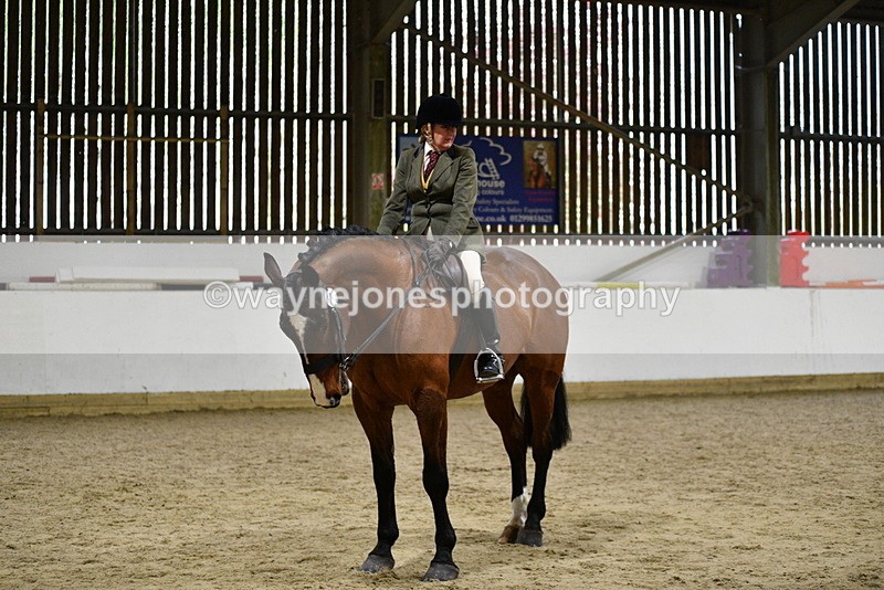 WJ5_8979 - Class 15 Ridden Show Horse