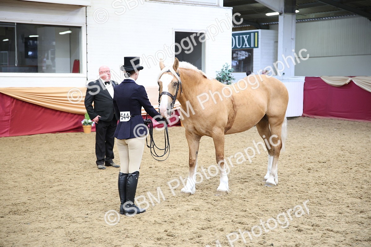 SBM_24744 - Class 906 - Supreme Final - Ridden Pre Vet