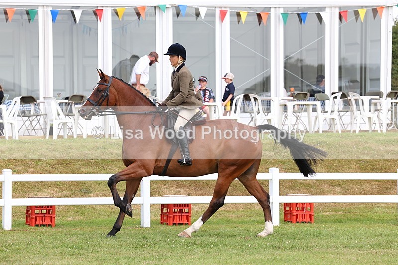 3E7A9325 - Class 4: Rising Star M/H Hunter