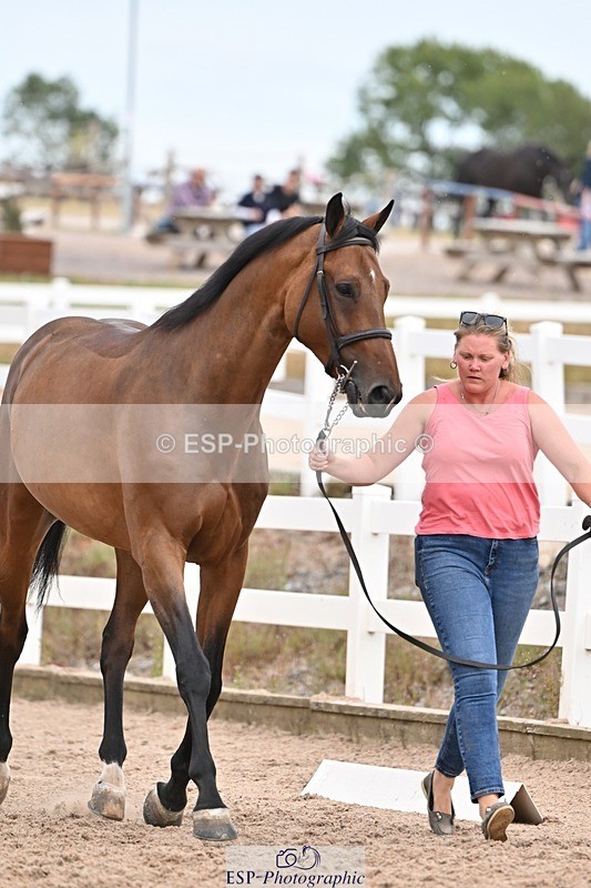 250716-160951-02470 - Trot Up 3.30 to 4.30