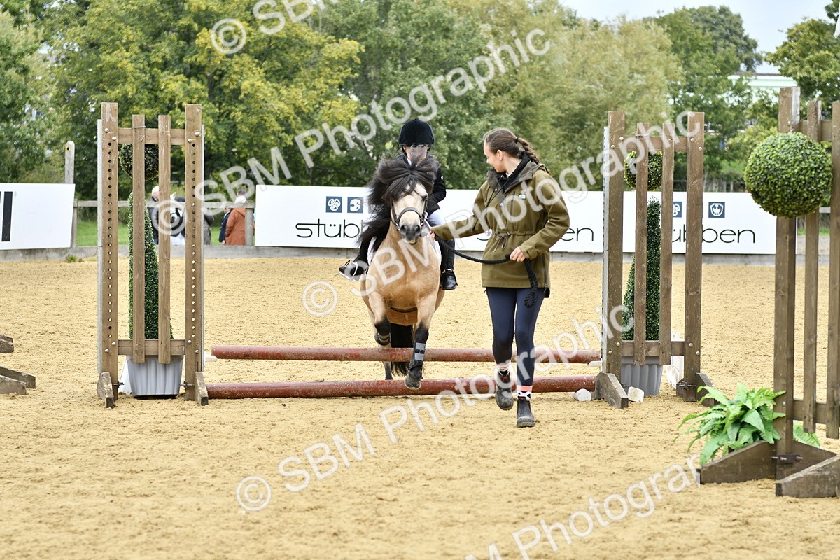 SBM_63467 - J1 - Mini Tour Junior Pony Lead Rein 30cm Championship