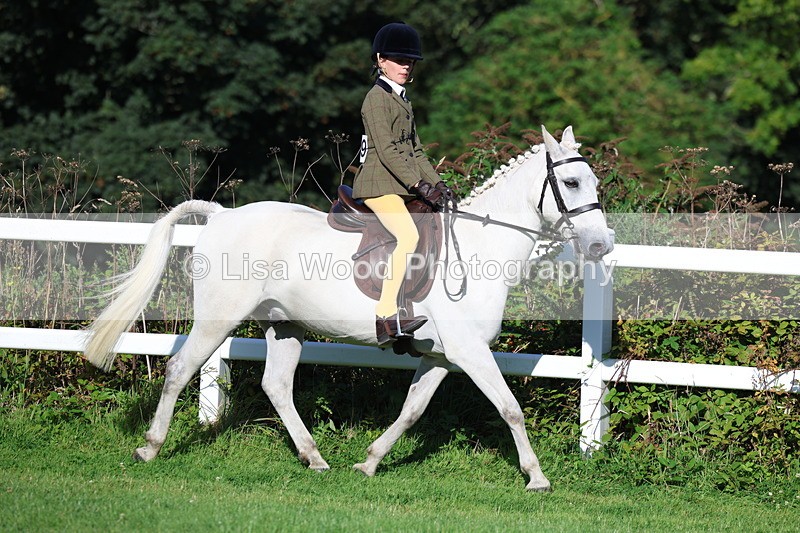 3E7A7571 - Class 1: Novice Working Hunter Pony