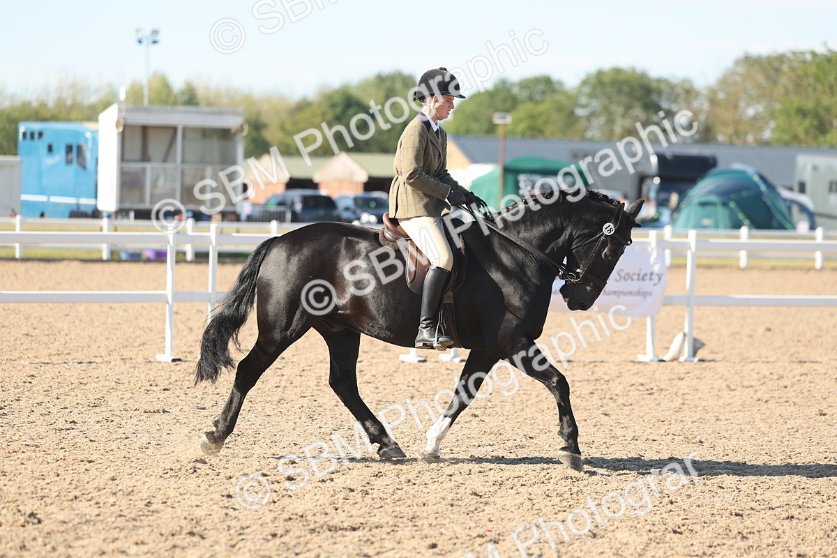 SBM_12329 - Class 304 - Ridden part Bred Horse Pony