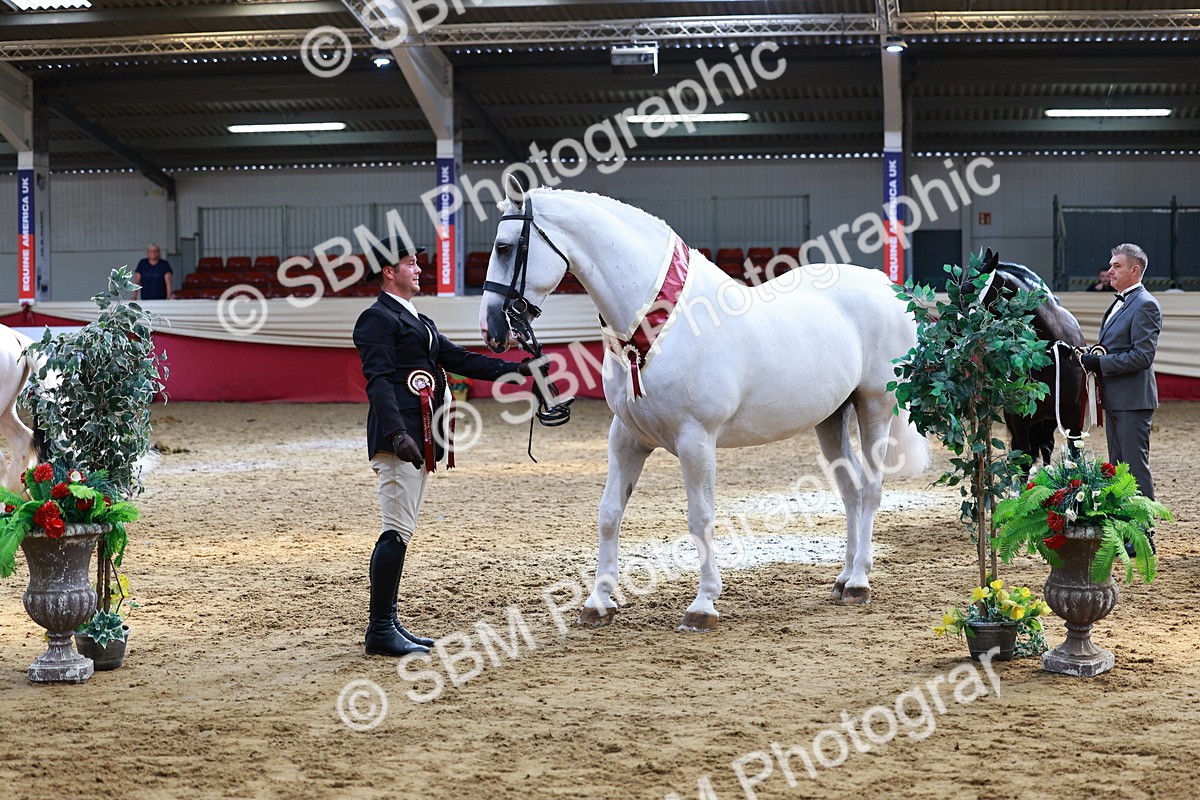 SBM_23292 - Class 903 - Supreme Final - IH Pre Vet