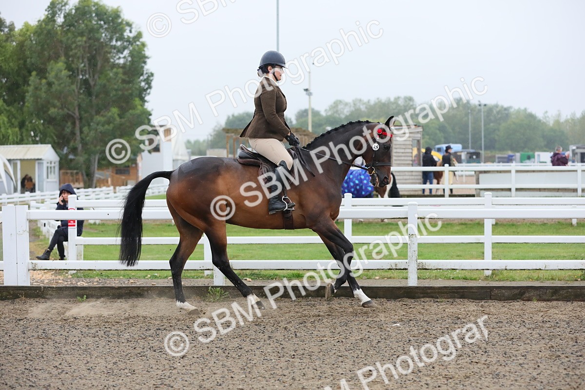 SBM_20016 - Class 802 - Ridden Groom - Helpers class