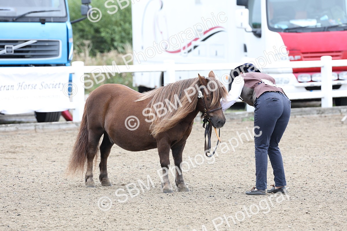 SBM_00030 - Class 50 - Best Turned Out IH