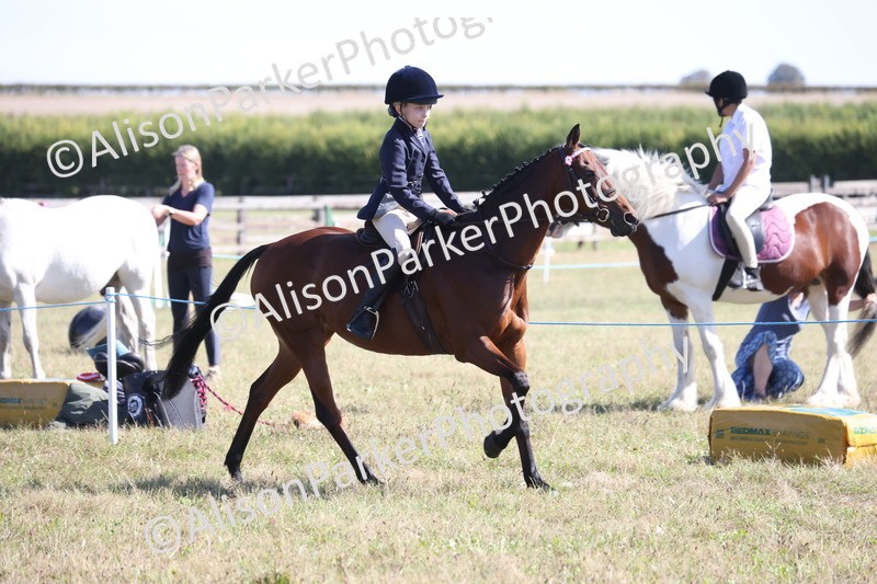 20260906-2249 - Class 16 - Family Pony