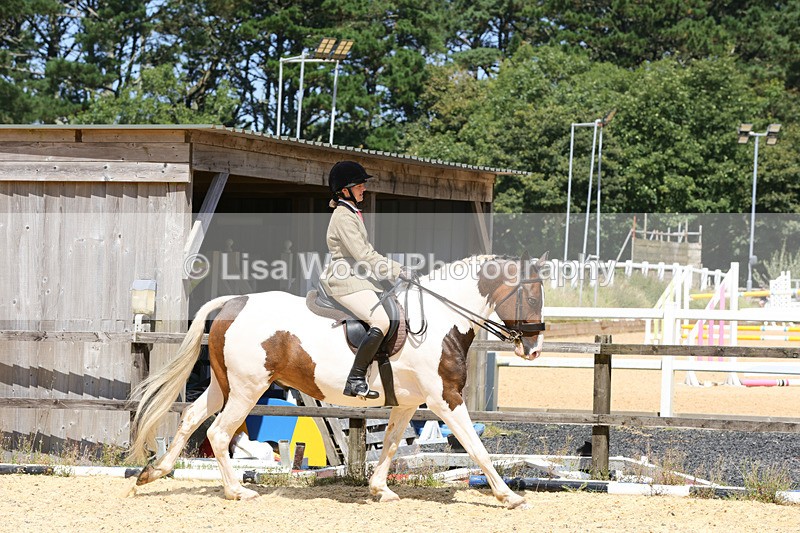 1X9A8796 - Class 19: Riding Club Horse