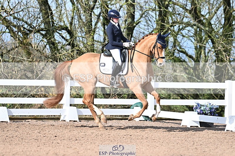 240218A-114409-06821 - 272-Beth.Bainbridge-Newton.Dreamcatcher