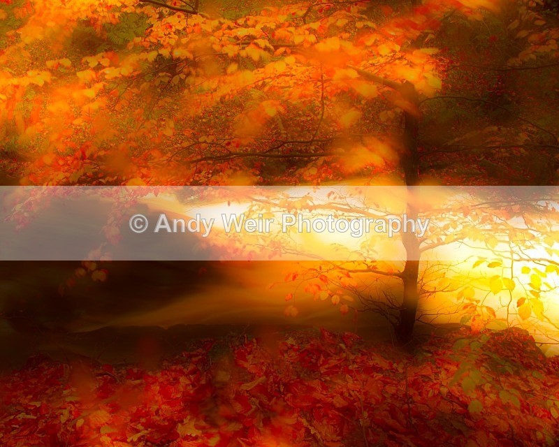 20121028-_MG_0695-1538 - England