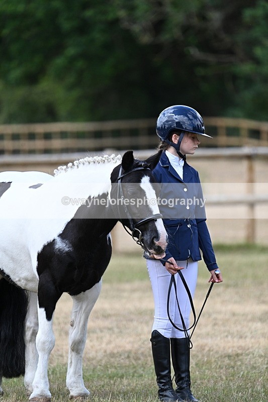 WJ7_1557 - Class 4 Prettiest Mare up to 14.2hh in hand
