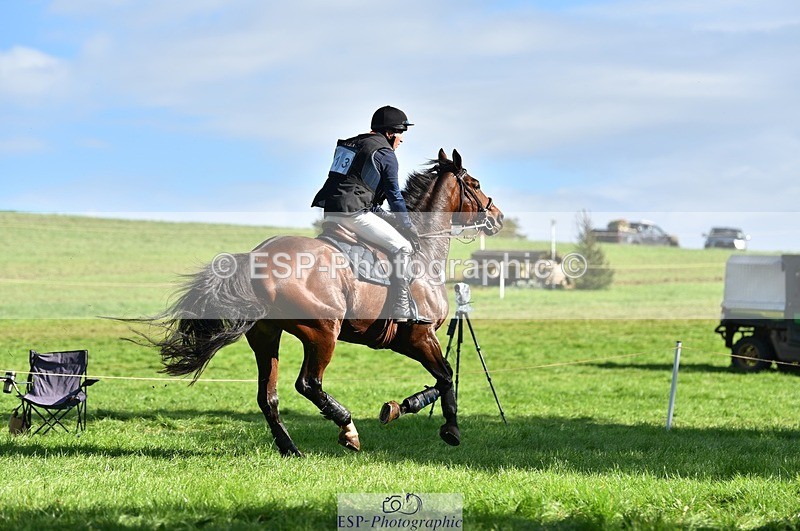 231022-125002-28807 - 313-CURTIS.DES.CHAUMES-Gilles.Serbource-XC