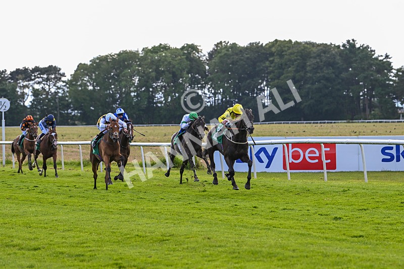 160624-Race 4-Align The Stars-8793 - Race 4