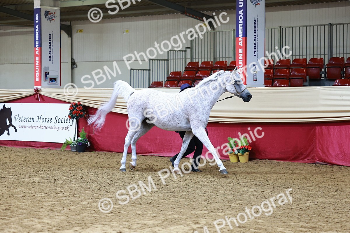 SBM_22134 - Class 902 - Supreme Final - IH Diamond