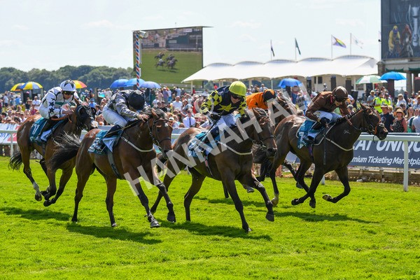 160623-Race 2-Celestial Flight-0303 - Race 2 2.25pm SKF Rous Selling Stakes