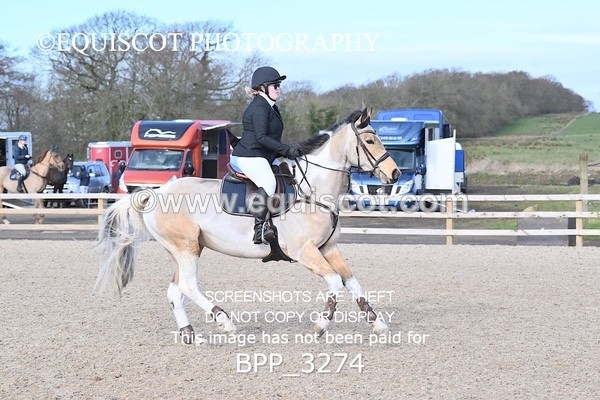 BPP_3274 - CLASS 2  Club/ Unaffiliated 80cms Open