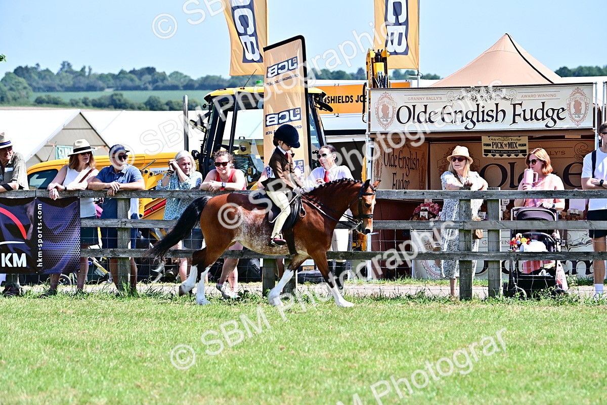 SBM_13919 - Class 95-97 - BSPS LHS Performance Ponies