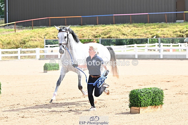 240718A-105236-00912 - Trot Up 11am to 12pm