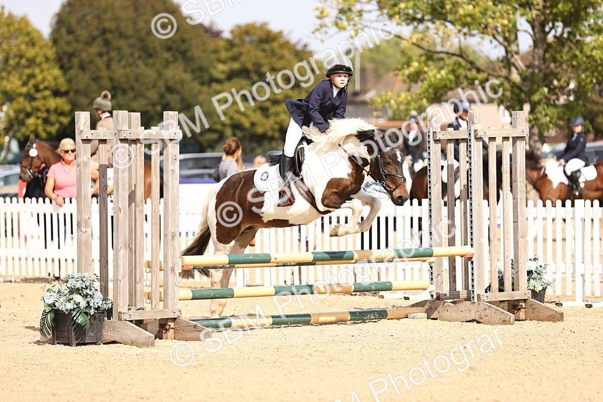 SBM_66918 - J13 - Junior Pony 60cm Championship