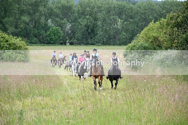 WJ6_8364 - Camera 1 Gallops
