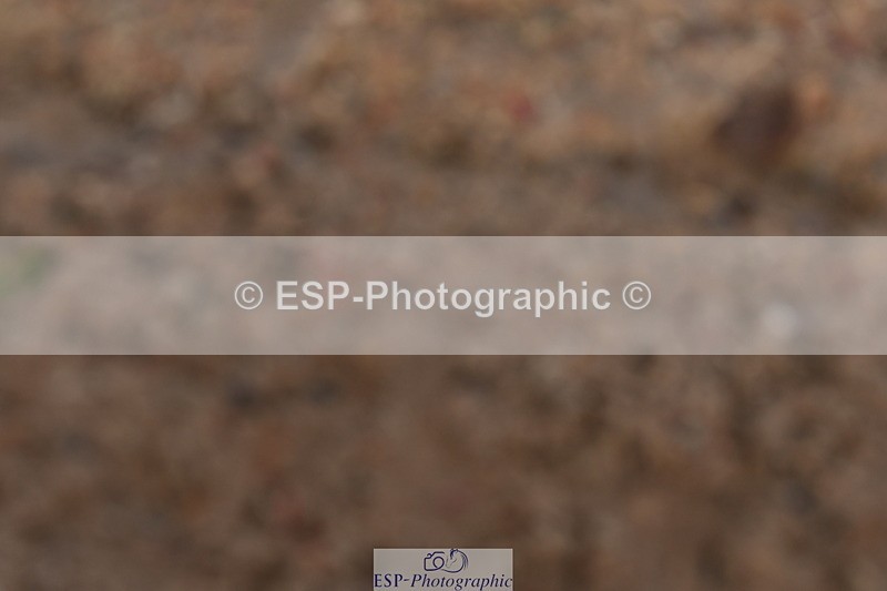 231104A-112612-00209 - Cls 7 Elementary 43