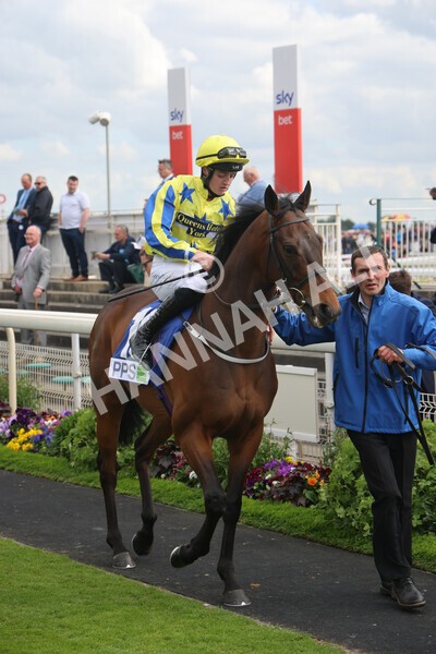 yr11062022r8-5 - Race 8 5.25pm Clean up with PPS Stakes