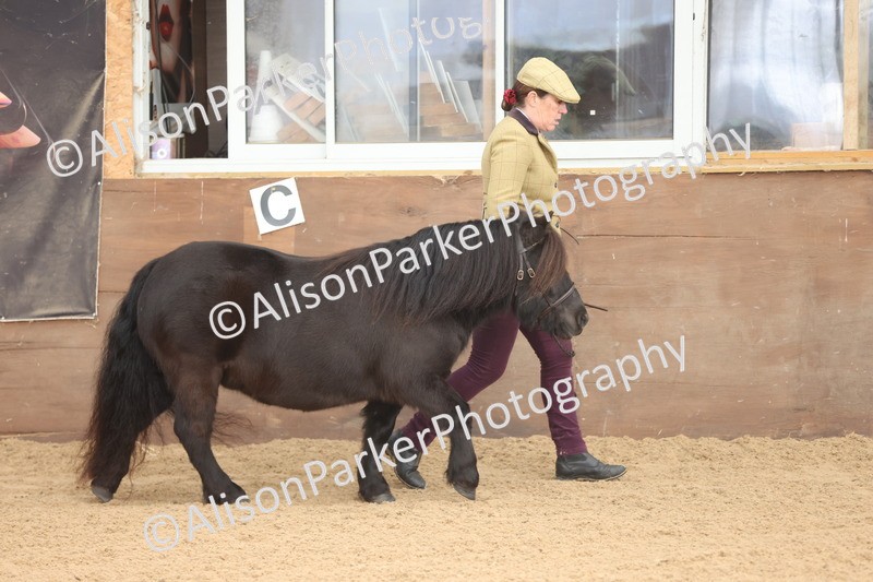 20251109-0089 - Class 5 - Mares 4 Years and over