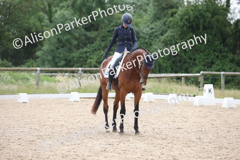 20250614-1467 - Class 7 - Elementary 2