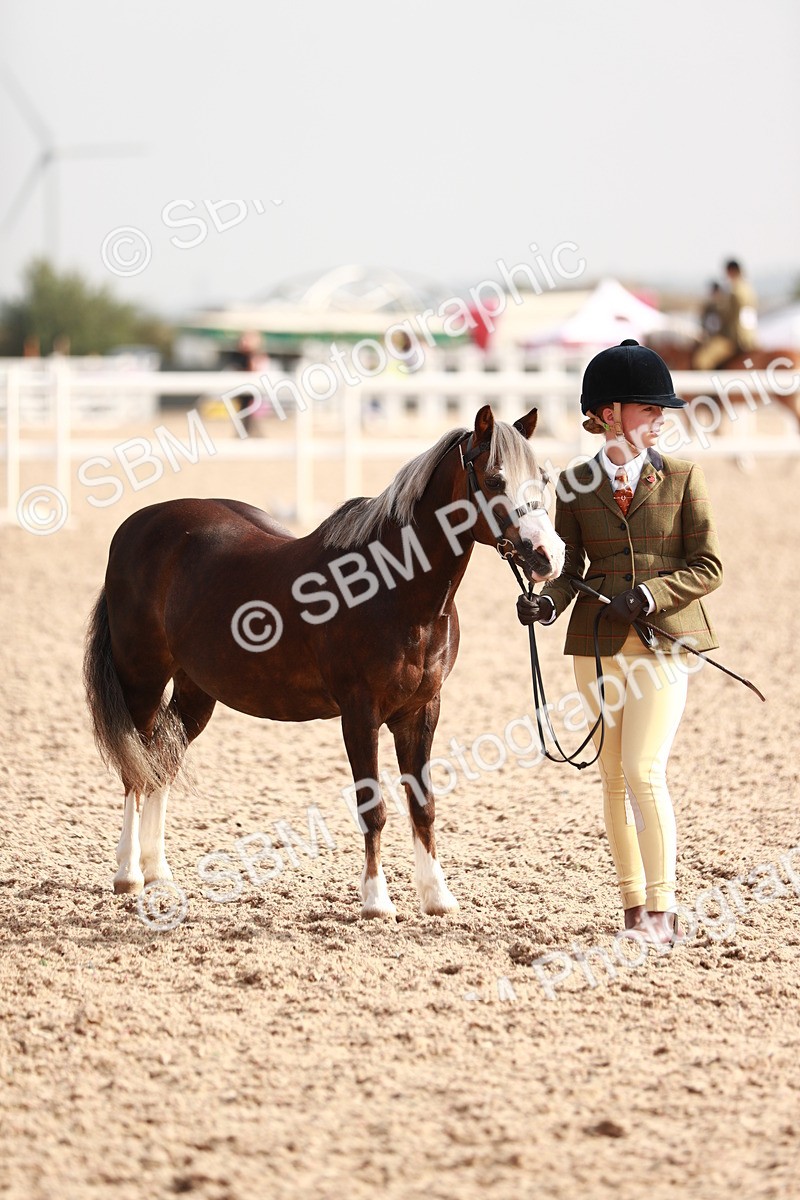 SBM_10597 - Class 204 Young Handler, 11-16 years