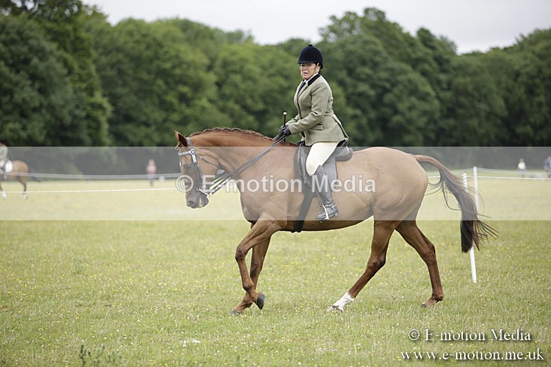 BVR160717-805 - Ring 1 BVRC Show 16/07/17