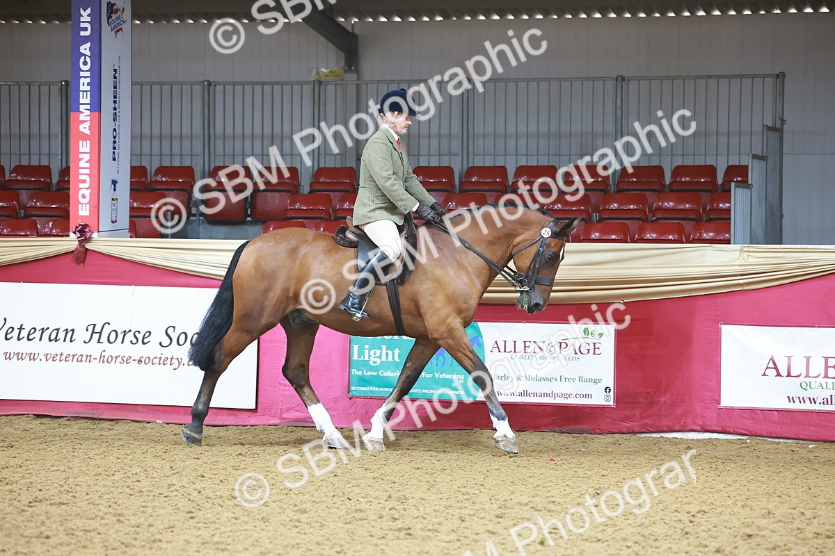 SBM_07592 - Class 101 - HOYS Veteran Qualifier - Ridden Diamond