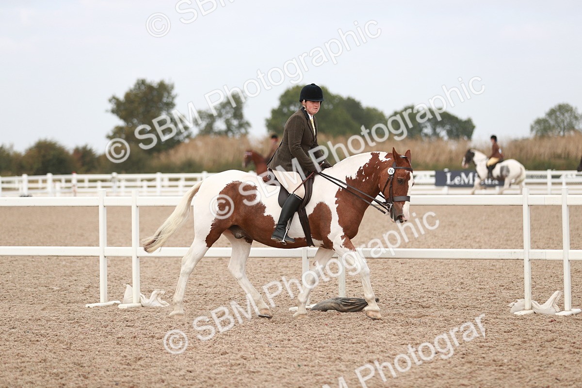 SBM_16662 - Class 214 Ridden Cob