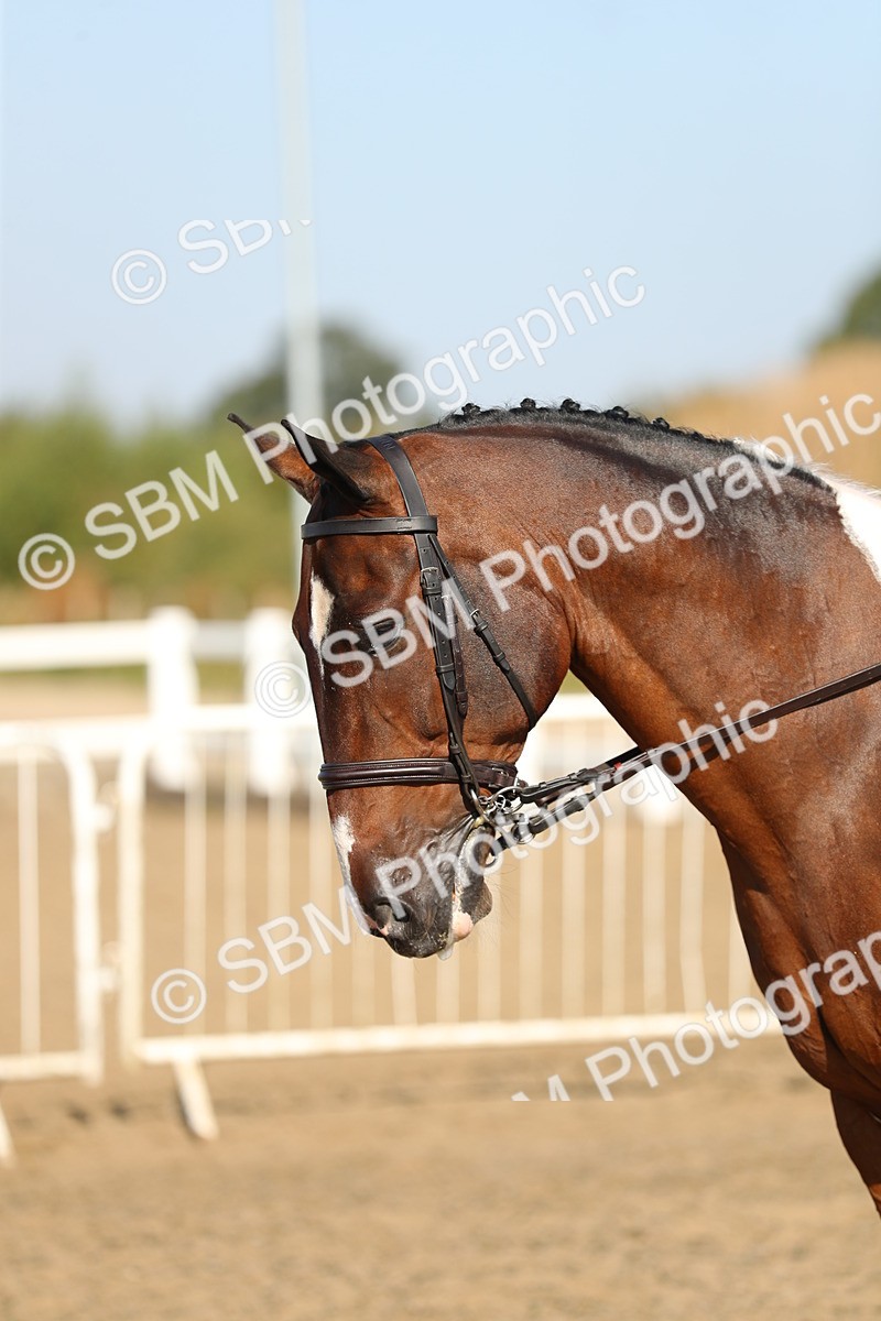 SBM_01222 - Class 42 Ridden Veteran