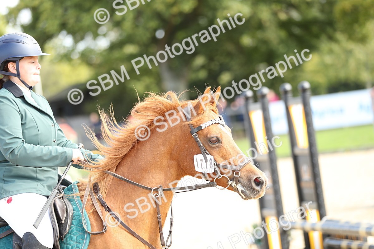 SBM_04619 - J28 - Senior Horse & Pony 60cm Championships