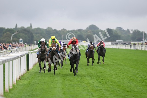 080924-Race 3-Brighton Boy-9025 - Race 3 2.50pm Irish Thoroughbred Marketing Nursery Handicap