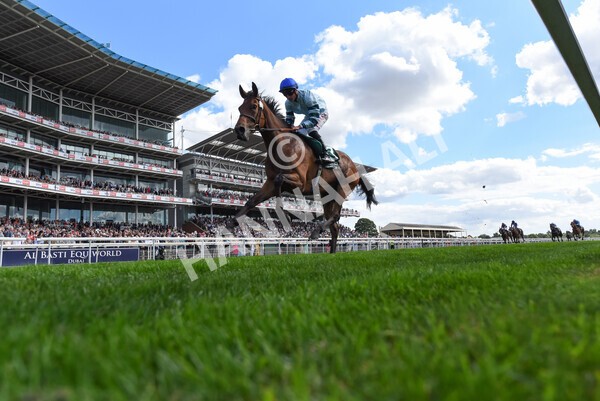 yr19082022r2-40 - Race 2 2.25pm Weatherbys Hamilton Lonsdale Cup (British Champions Series Race)