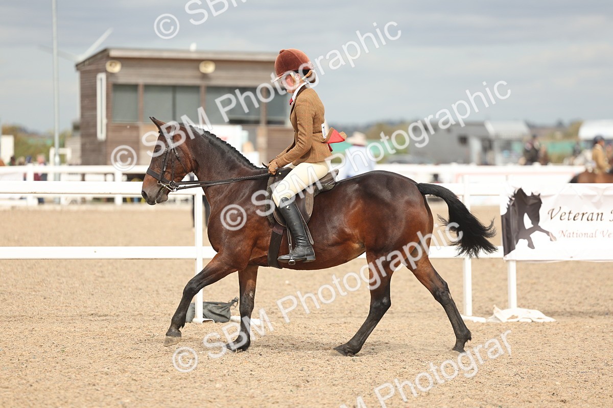 SBM_18017 - Class 314 - Family Horse Pony