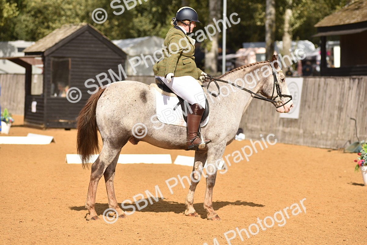 SBM_10045 - D15 - Small Tour Championship Novice 1