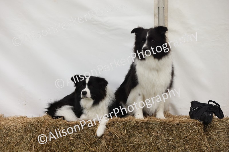 20250607-0020 - Misc